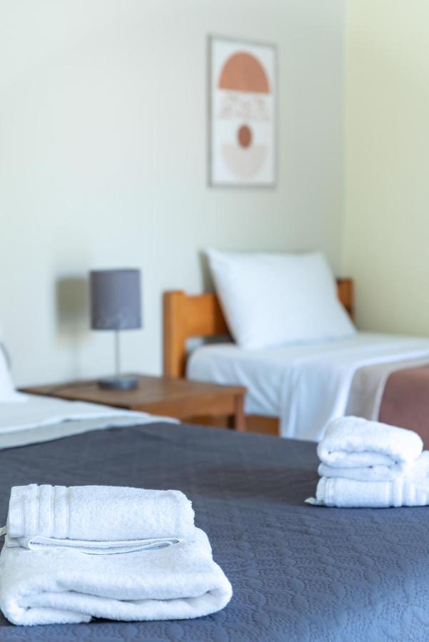 ניקיאנה Zois Apartments מראה חיצוני תמונה